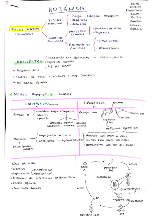Miniatura del documento Completos-botanica.pdf