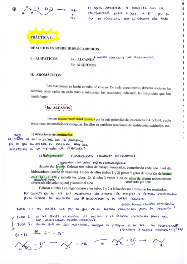 Miniatura del documento Guia-practicas-Q.-Organica-I.pdf
