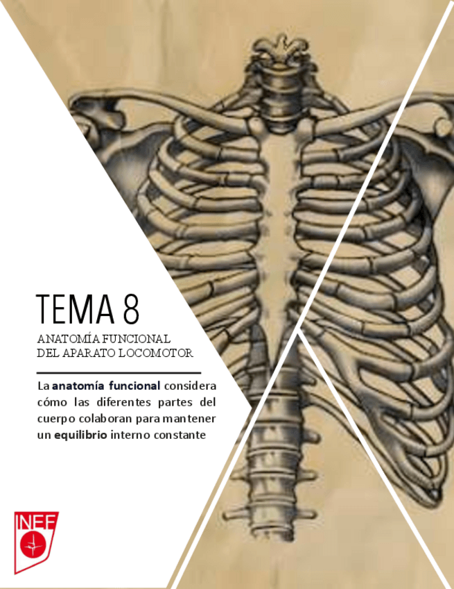 Miniatura del documento ANATOMIA-2o PARCIAL.pdf