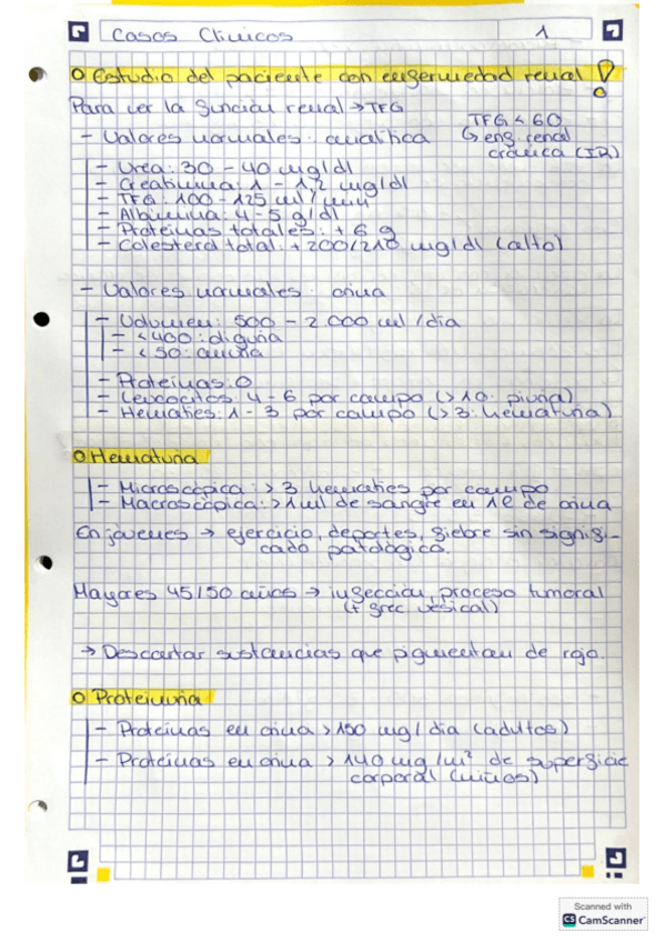 Miniatura del documento Esquemas-casos-diz.pdf