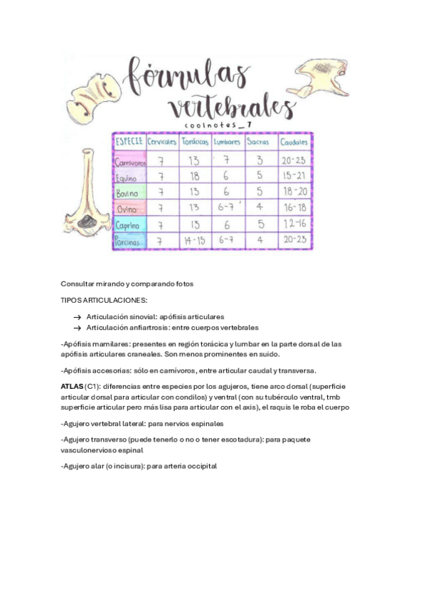 Miniatura del documento RAQUIS.pdf