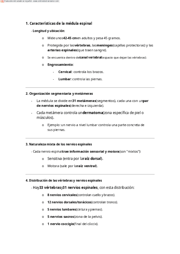 Miniatura del documento explicació senzilla medula espinal (t4) català.pdf