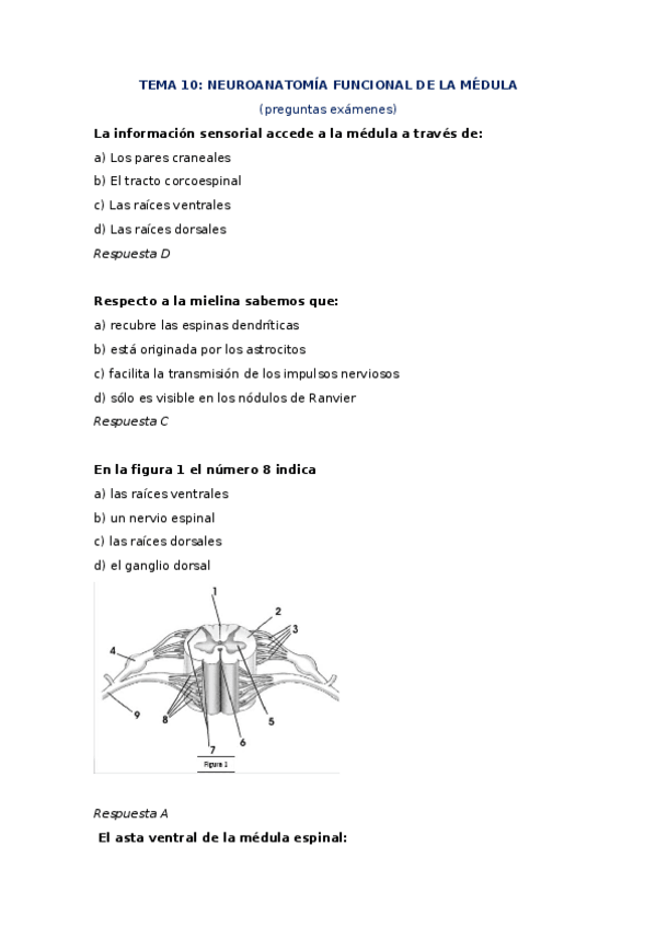 Miniatura del documento preguntas examen tema 10.docx