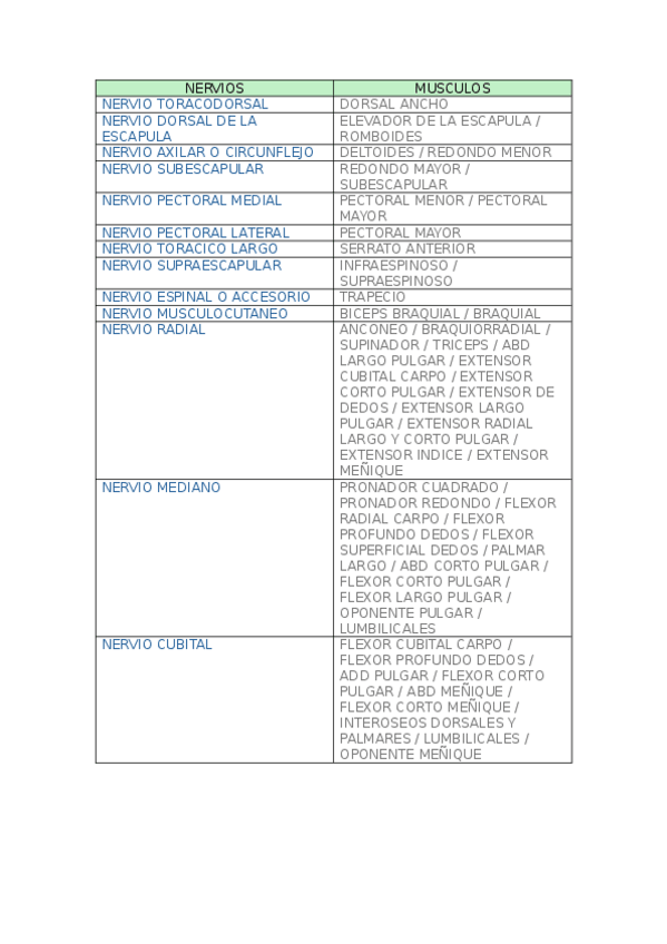 Miniatura del documento INERVACION-MUSCULOS-V-MUSCULAR.docx