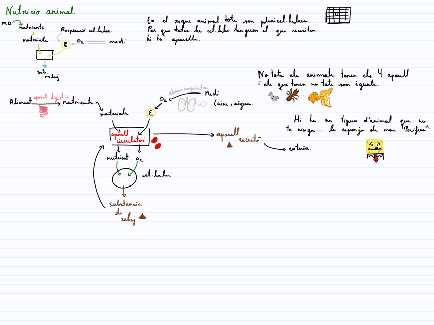 Miniatura del documento Imagen-PNG-3.png