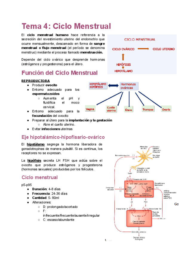 Miniatura del documento Tema-4.pdf