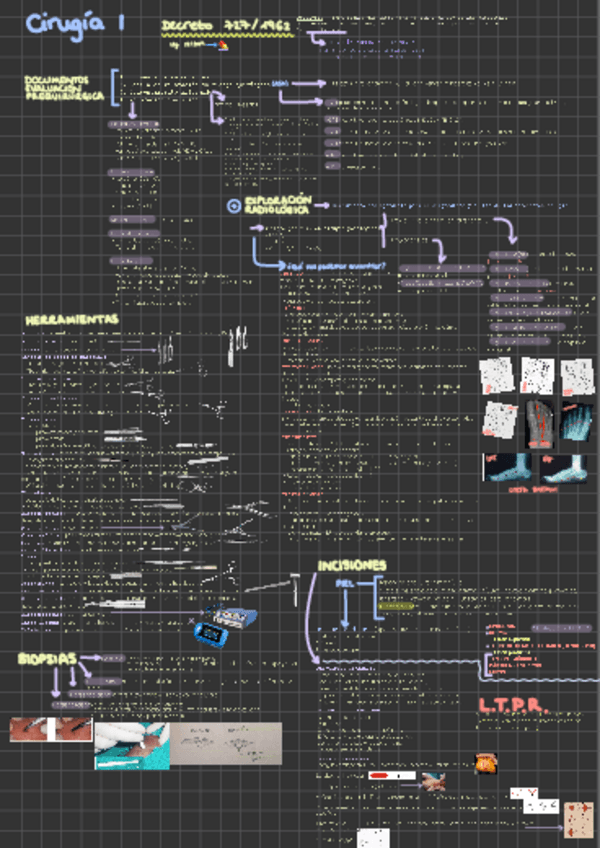 Miniatura del documento ESQUEMA-CIRUGIA-I.pdf