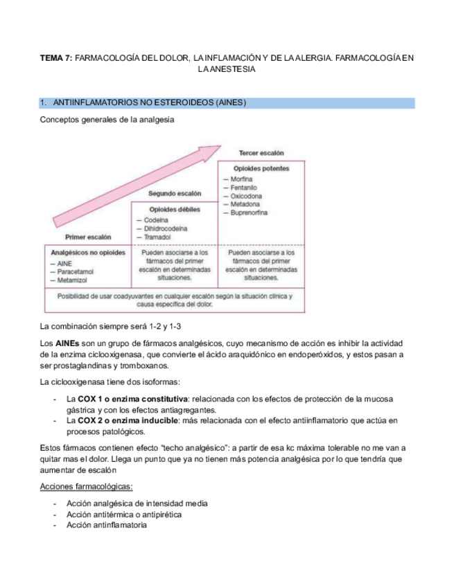 Miniatura del documento T7.-metabolismo.pdf