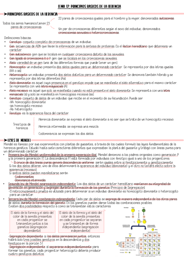 Miniatura del documento TEMA-12.-Resumen.pdf