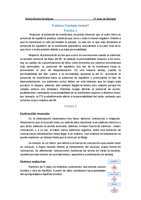 Miniatura del documento Informe-FA-Practicas.pdf