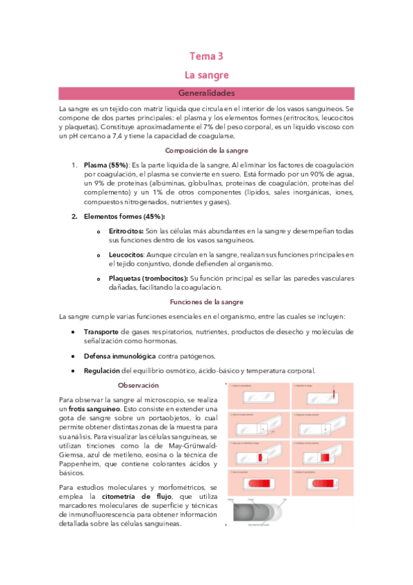 Miniatura del documento Tema 3: La sangre.pdf