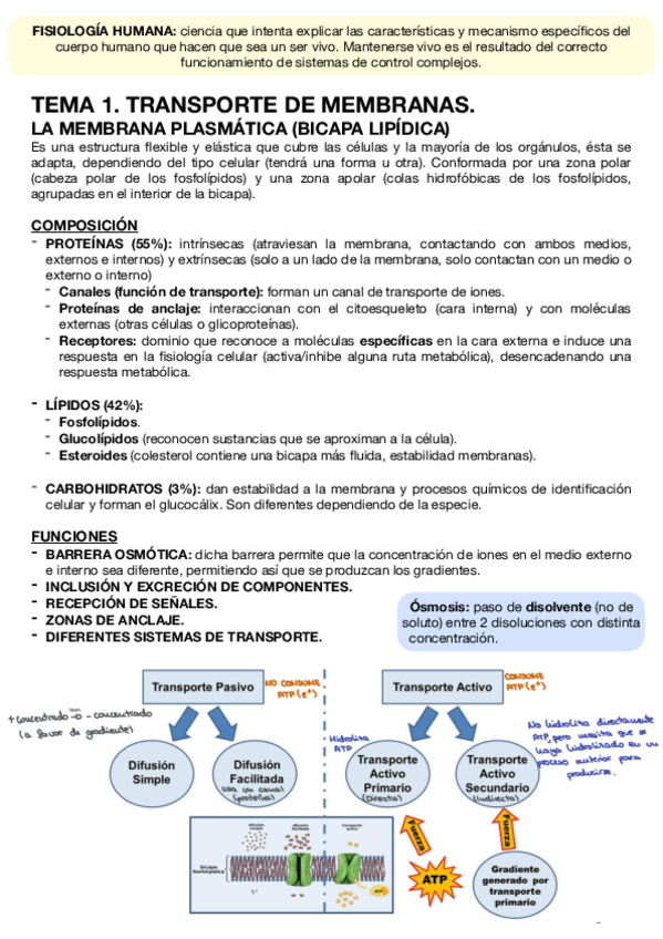 Miniatura del documento Fisiologia-temas-1-17.pdf
