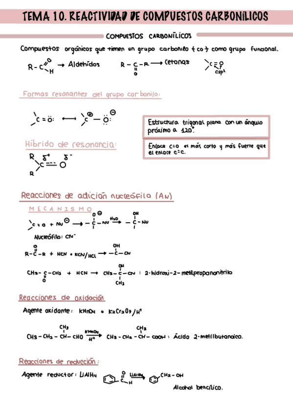 Miniatura del documento TEMA-10.pdf