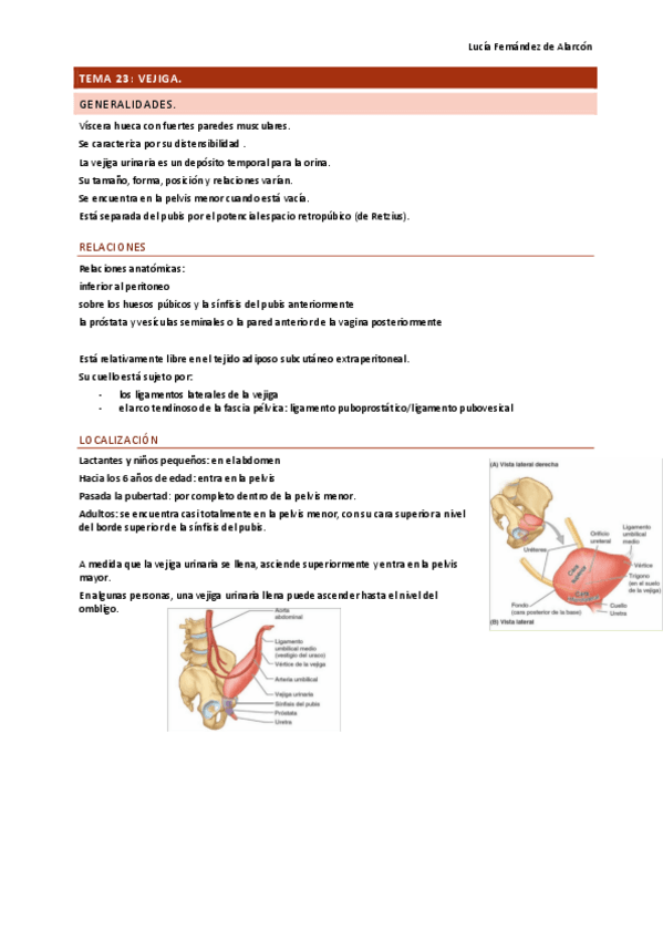 Miniatura del documento tema-23-y-24-ANAT-DRURE.pdf