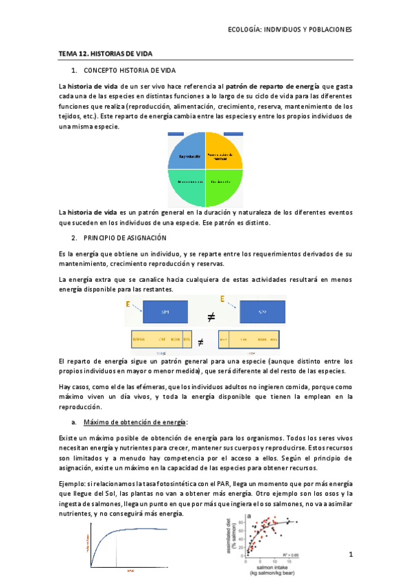 Miniatura del documento TEMA-12-HISTORIAS-DE-VIDA.pdf