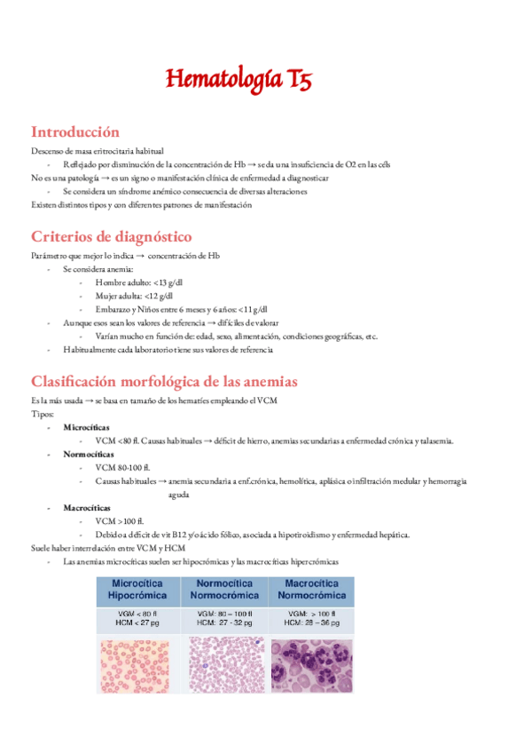Miniatura del documento Clasificacion-de-las-anemias.pdf