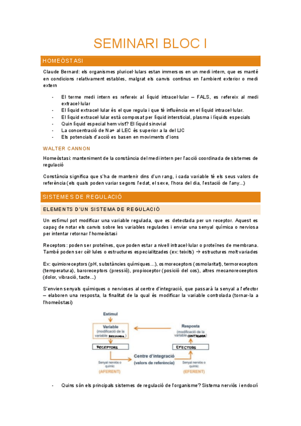 Miniatura del documento Seminari-bloc-1.pdf