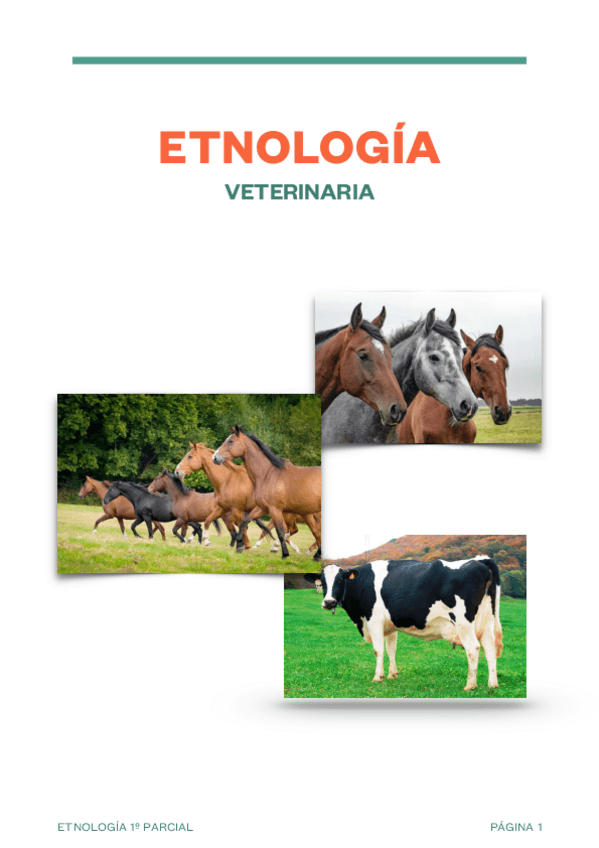 Miniatura del documento ETNOLOGIA-TEMAS-1-5.pdf