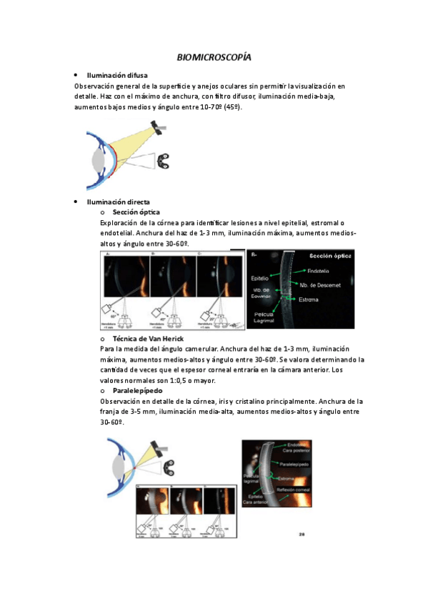 Miniatura del documento BIOMICROSCOPIA.pdf