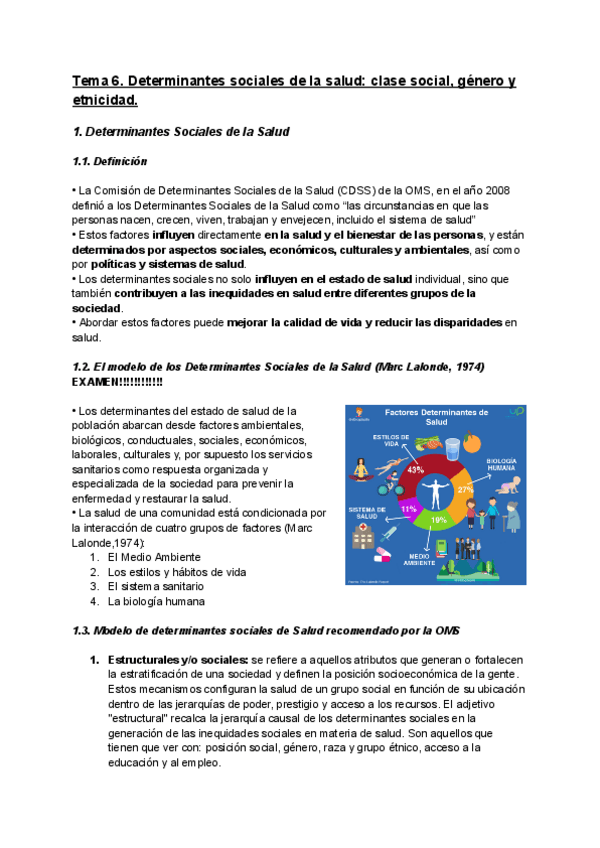 Miniatura del documento Tema-6-S-Determinantes-sociales-de-la-salud-clase-social-genero-y-etnicidad.pdf
