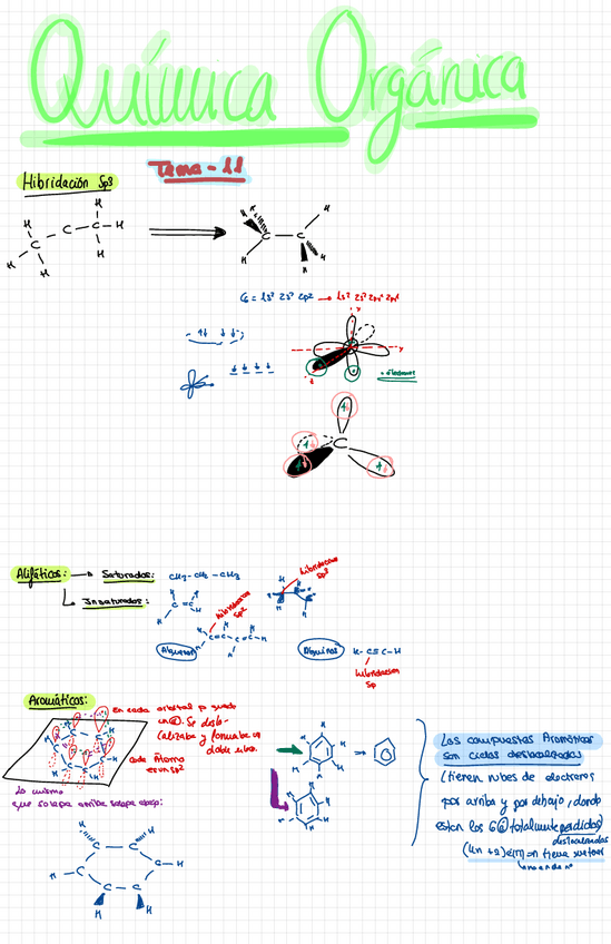 Miniatura del documento Quimica-Organica-Apuntes.pdf