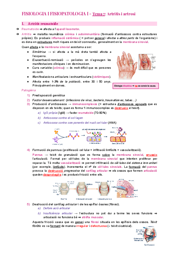 Miniatura del documento Tema-7-Artritis-i-artrosi.pdf