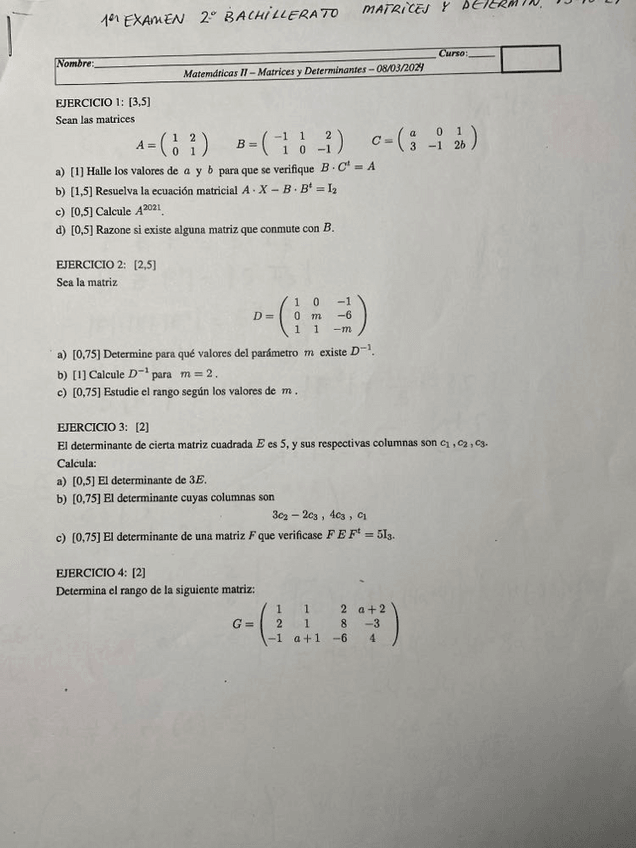 Miniatura del documento examen-MATRICES-y-DETERMINANTES.pdf