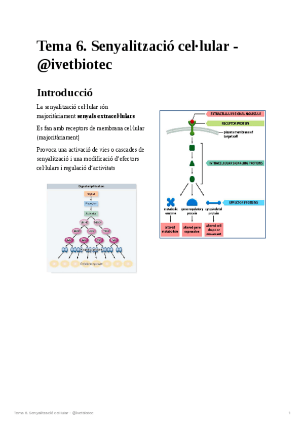 Miniatura del documento Tema-6Biologia-cellular.pdf