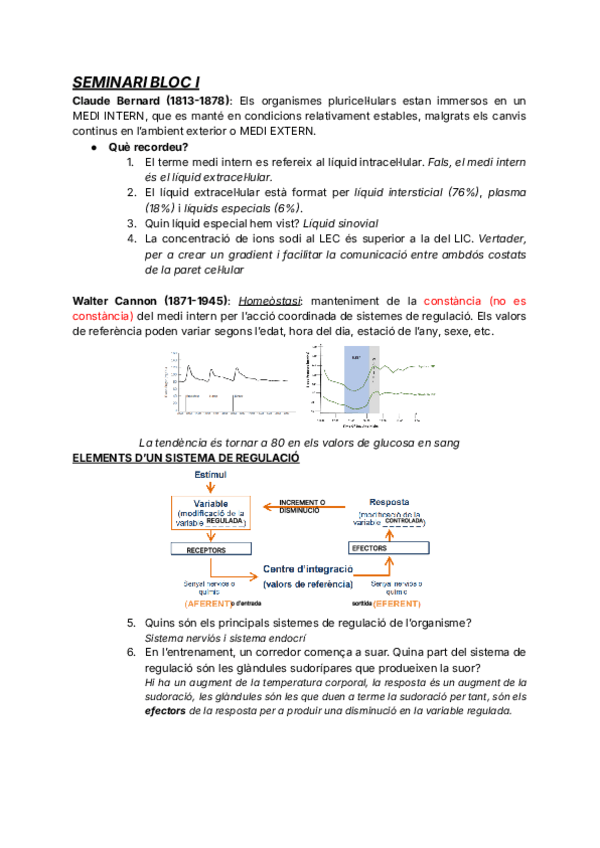 Miniatura del documento SEMINARIS-bloc-I-i-bloc-IV.pdf