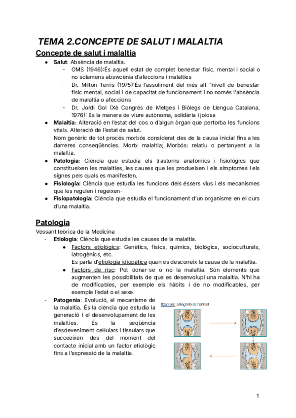 Miniatura del documento teoria-primer-parcial.pdf