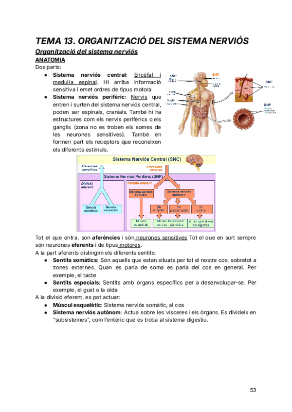 Miniatura del documento tema-13.pdf