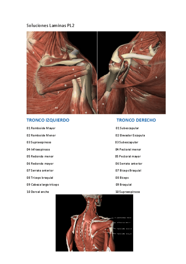 Miniatura del documento Soluciones-Laminas.pdf