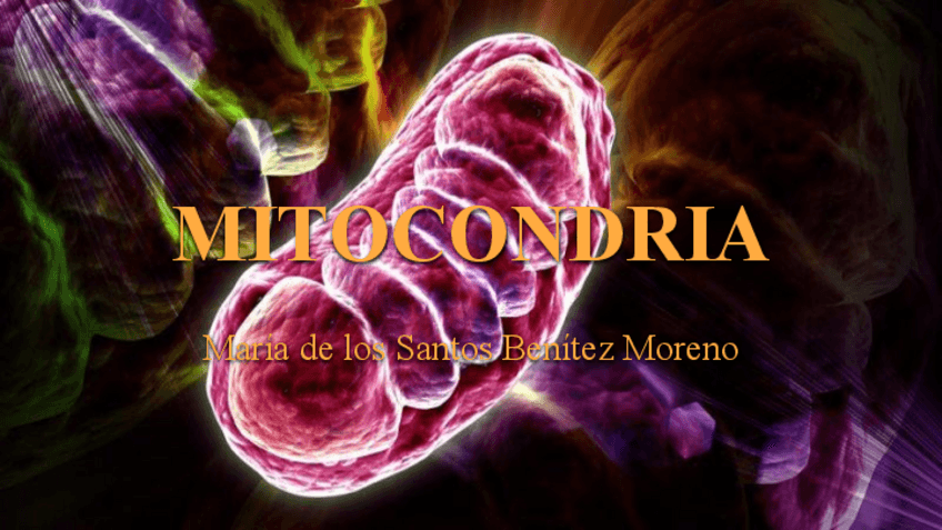 Miniatura del documento PA-5-Mitocondrias.pdf