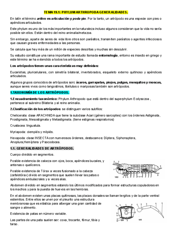Miniatura del documento 19.1-ARTROPODOS.pdf