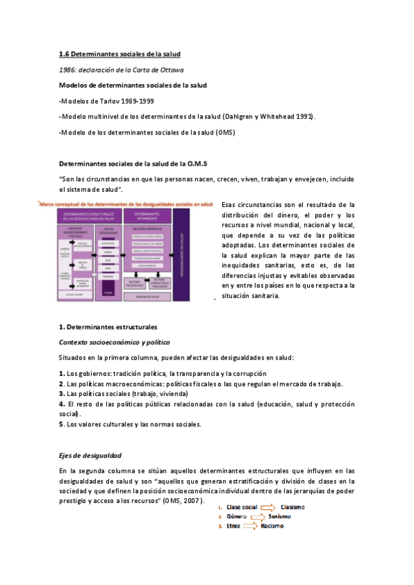 Miniatura del documento TEMA-1.6-salud-publica.pdf