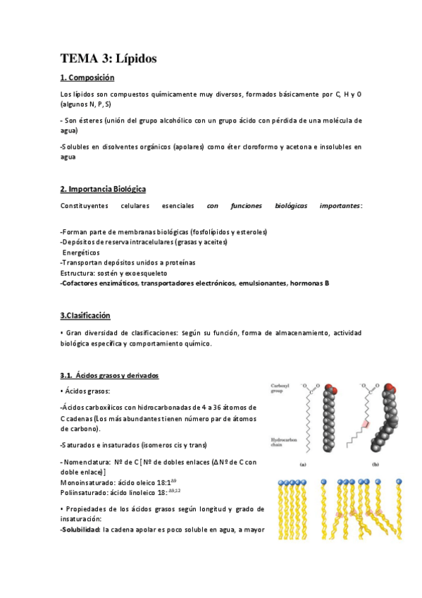 Miniatura del documento TEMA-3-bioquimica.pdf
