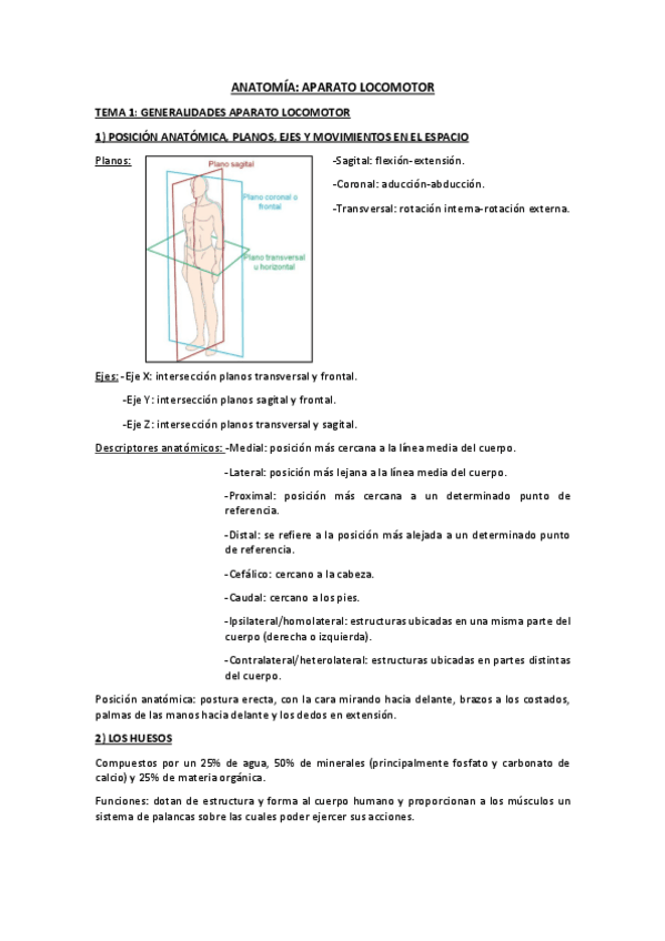 Miniatura del documento APUNTES APARATO LOCOMOTOR TODOS LOS TEMAS.pdf