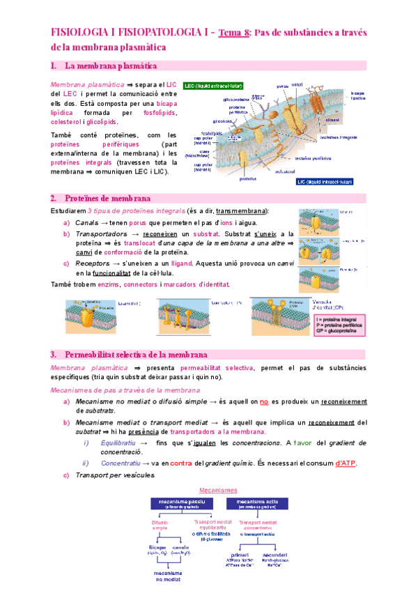 Miniatura del documento Tema-8-Pas-de-substancies-a-traves-de-la-membrana-plasmatica.pdf
