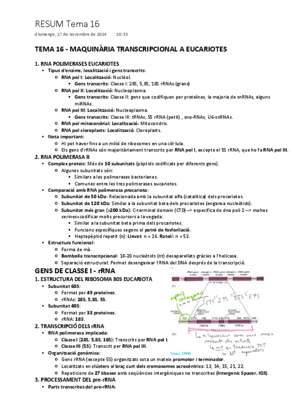 Miniatura del documento TEMA-16-MAQUINARIA-TRANSCRIPCIONAL-A-EUCARIOTES.pdf