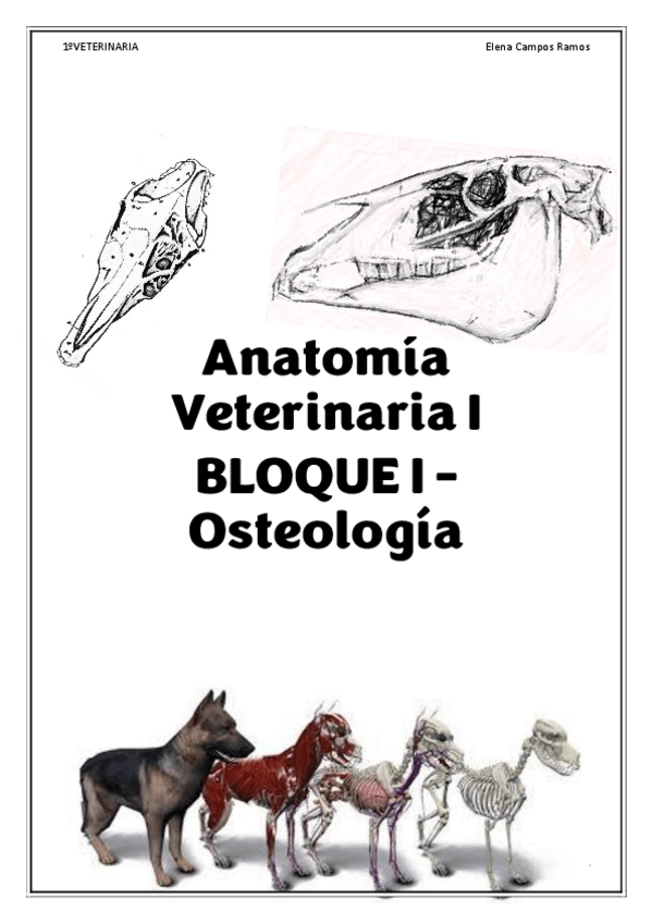 Miniatura del documento ANAV1-BLOQUE-I-OSTEOLOGIA.pdf