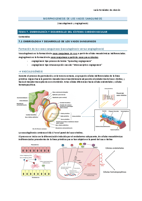 Miniatura del documento tema-7-RESCAR.pdf