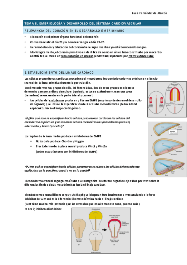 Miniatura del documento tema-8-RESCAR.pdf