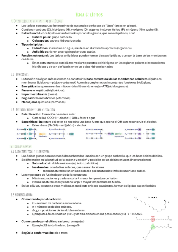 Miniatura del documento T.6-lipidos.pdf