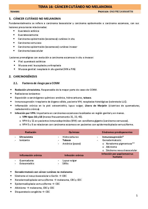 Miniatura del documento T16-Cancer-cutaneo-no-melanoma-2024.pdf