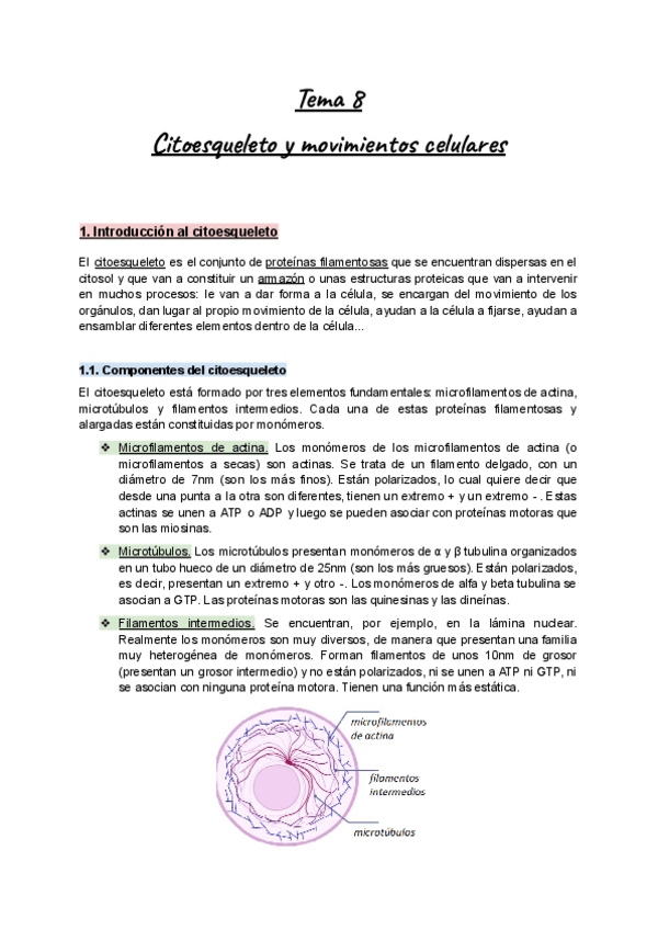 Miniatura del documento Apuntes-Tema-8-BioCel-I-Citoesqueleto-y-movimientos-celulares.pdf