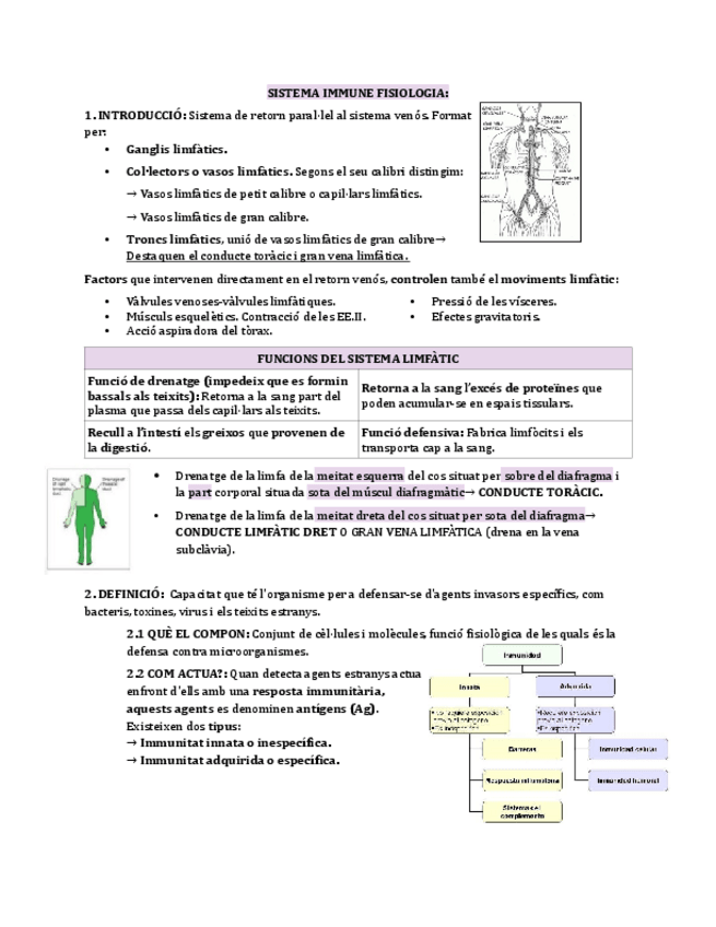 Miniatura del documento sistema-immune.pdf