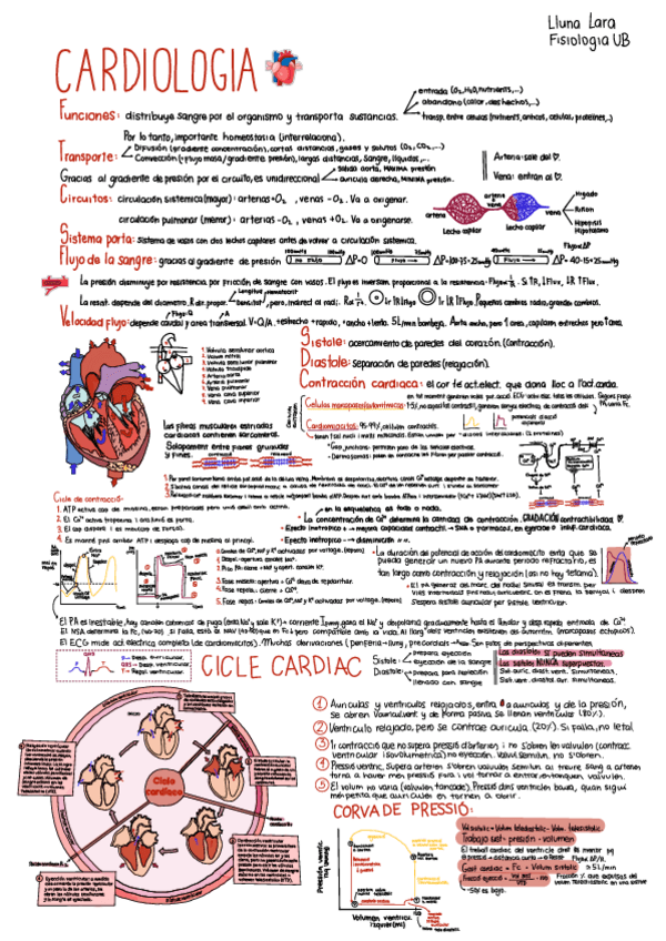 Miniatura del documento Resum-cardiologia-complet.pdf
