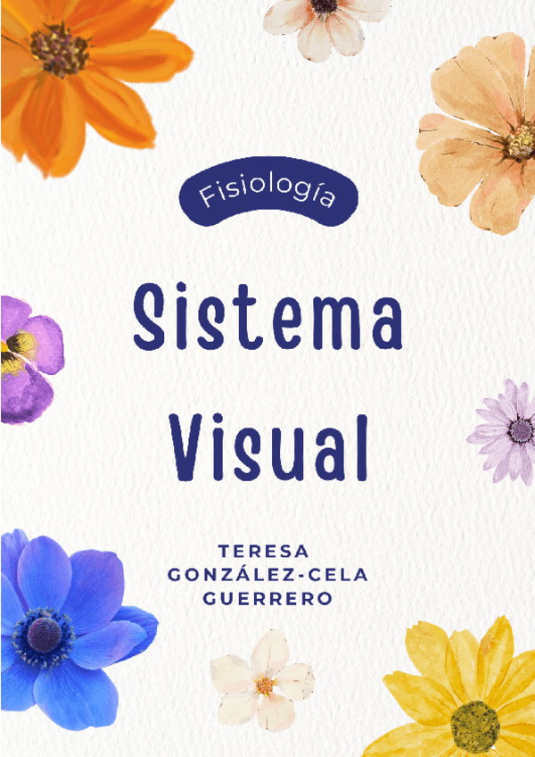 Miniatura del documento Fisiologia-Del-Sistema-Visual.pdf