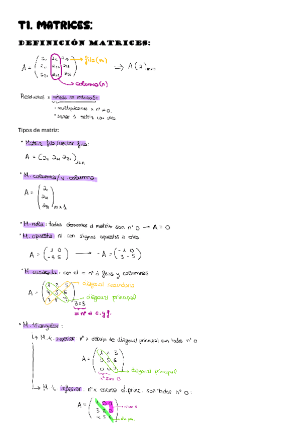 Miniatura del documento T1-MATRICES.pdf