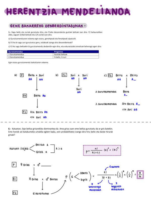 Miniatura del documento Herentzia-mendelianoaBuruketak.pdf